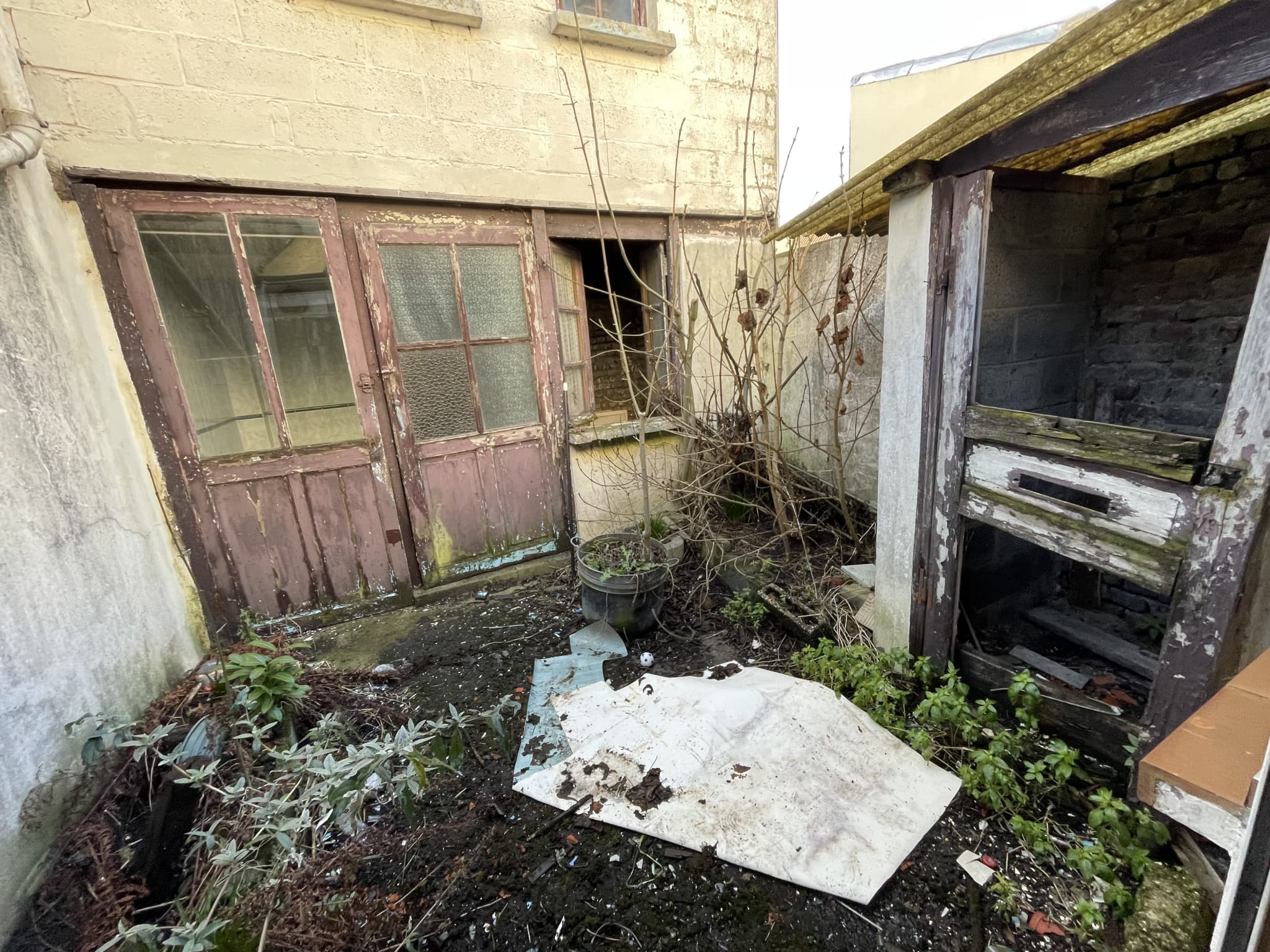 Image 15